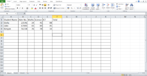 application software  spreadsheet
