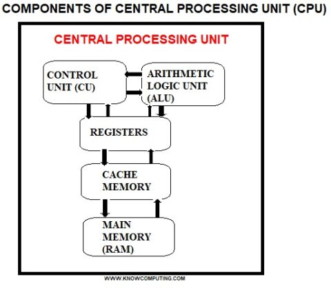 Functions, types, and components of processor (CPU) - Know Computing
